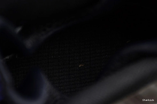 Eggplant  Air Foamposite 314996-008 One (2017) 0109